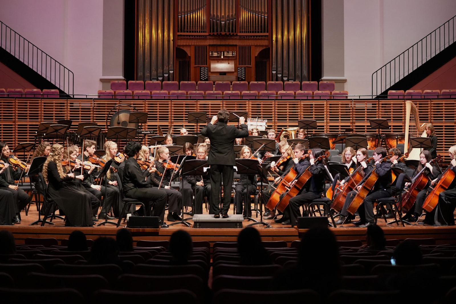 Conductor leading the orchestra under the organ pipes