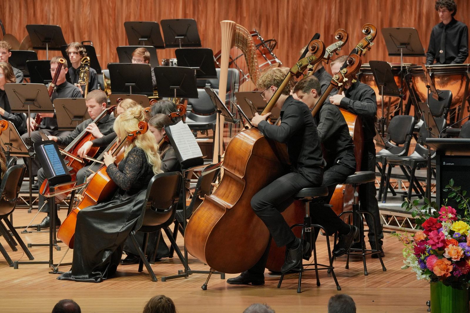 Double basses and cellos on stage